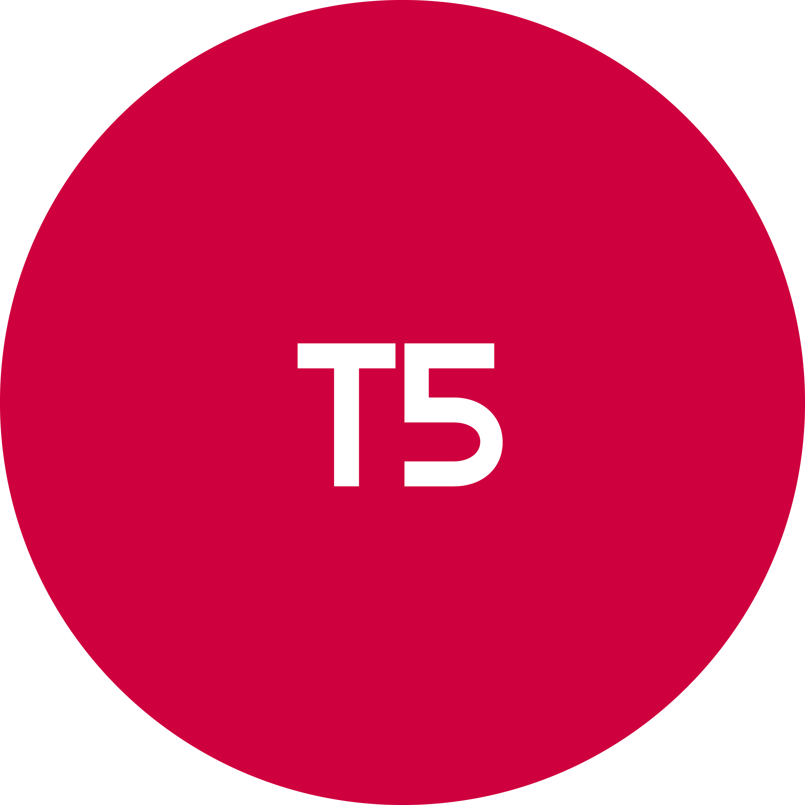t5-picto-plafonnier