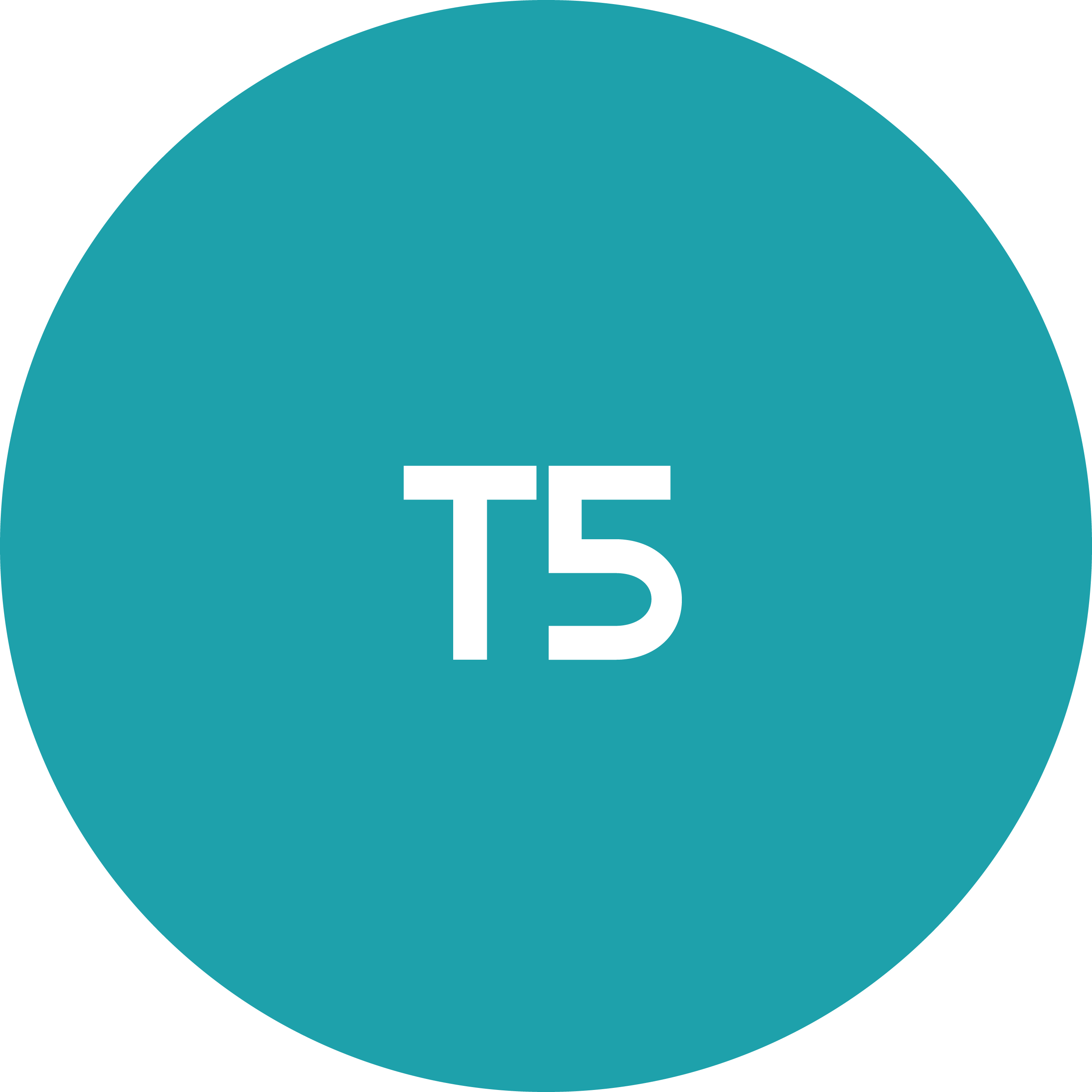 t5-picto-reglette