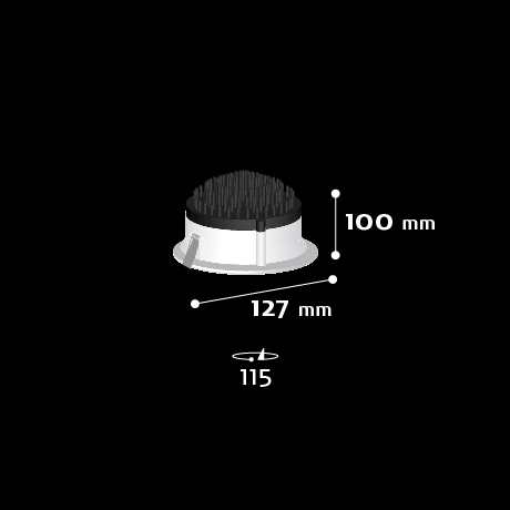 erizo-CRQ